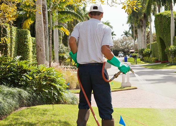 About Fontana KS Pest Control